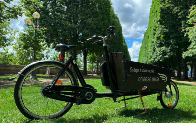 Pourquoi consulter un ostéopathe à domicile à Paris ?